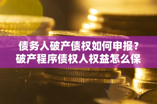 北京债务人破产债权如何申报？破产程序债权人权益怎么保障？