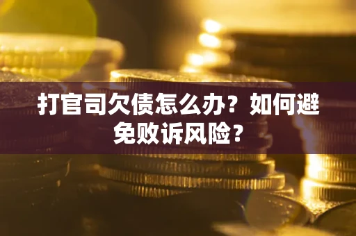北京打官司欠债怎么办？如何避免败诉风险？