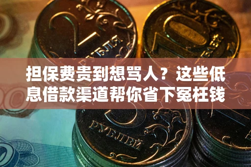 北京担保费贵到想骂人？这些低息借款渠道帮你省下冤枉钱
