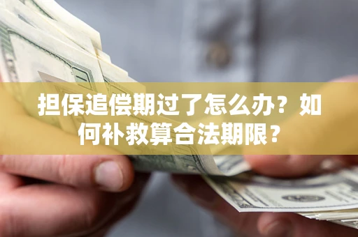 北京担保追偿期过了怎么办？如何补救算合法期限？