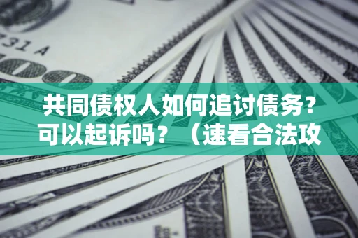 北京共同债权人如何追讨债务？可以起诉吗？（速看合法攻略）
