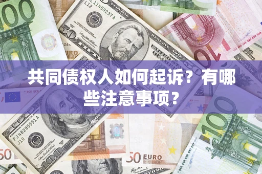 北京共同债权人如何起诉？有哪些注意事项？